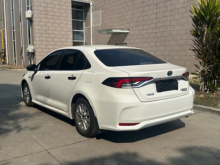 广州卡罗拉租车,经济轿车租车的图片展示